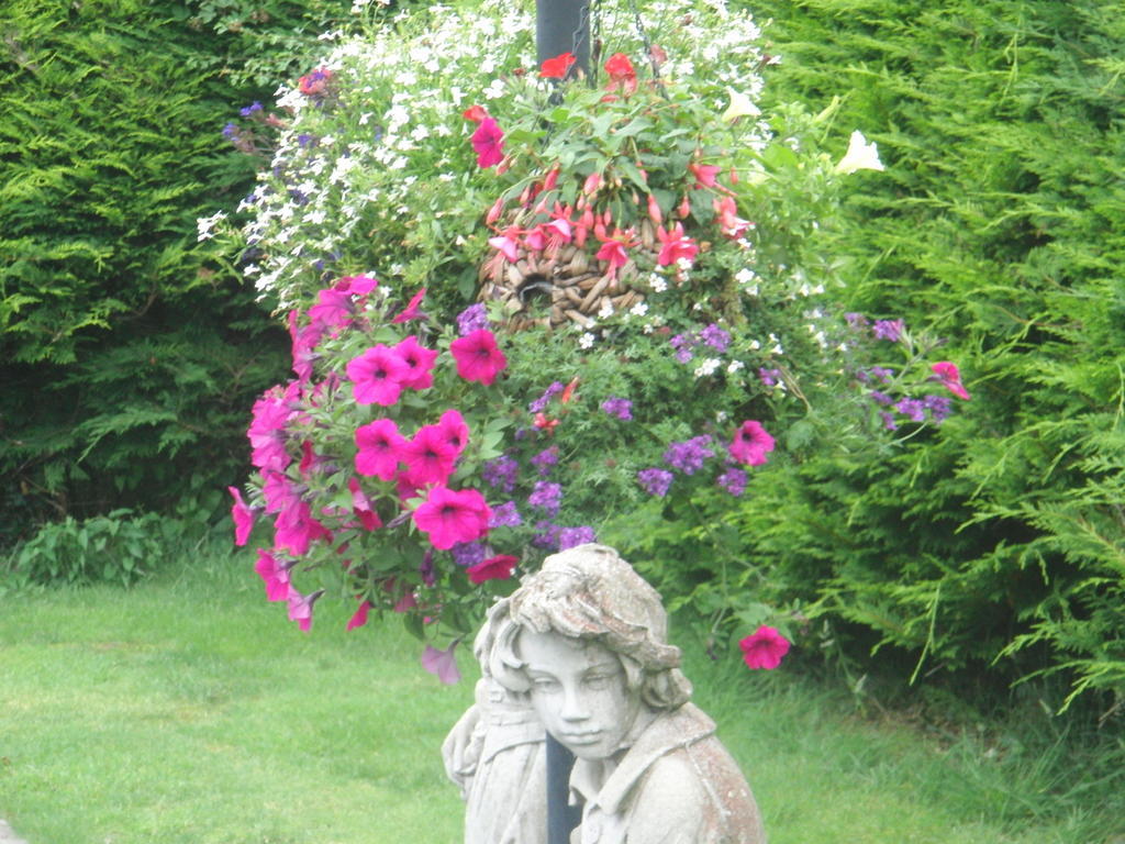 Woodlands House Bed and Breakfast Farranfore Buitenkant foto
