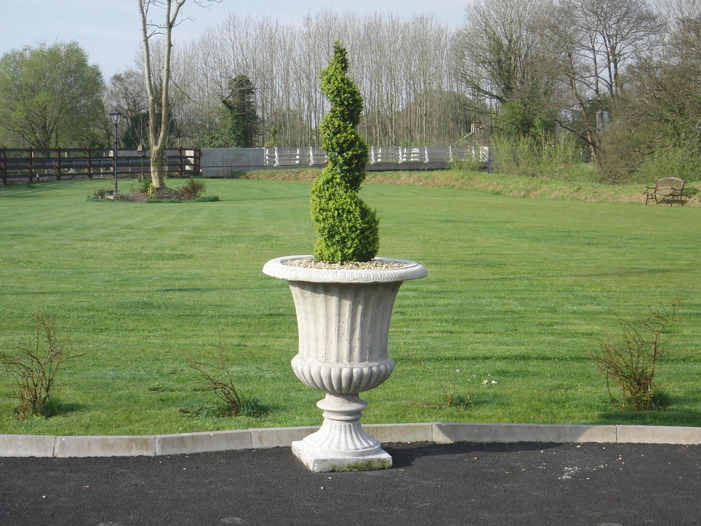 Woodlands House Bed and Breakfast Farranfore Buitenkant foto